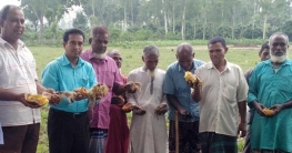 পরিবেশ সুরক্ষা ও বজ্রপাত প্রতিরোধে বিরলে তালবীজ বপন কার্যক্রম