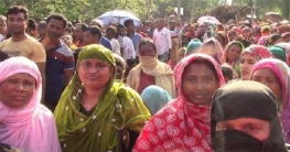 রোগ মুক্তিতে হাজার হাজার মানুষ দুধ খাচ্ছে ‘শ্যামলী’র!