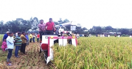 বীরগঞ্জে এসিআই ইয়ানমার কম্বাইন হারভেষ্টারে মাঠ প্রদর্শনী