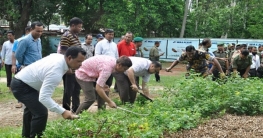 দিনাজপুর ডেঙ্গু প্রতিরোধে পরিচ্ছন্নতা কর্মসূচি শুরু