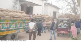 উলিপুরে গুদামে যাচ্ছে ফড়িয়াদের ধান