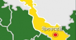 ডিমলায় বিষধর সাপের কামড়ে গৃহবধূর মৃত্যু