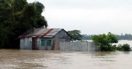 কুড়িগ্রামের বন্যায় প্রাণ গেল দেড় বছরের শিশু সীমার