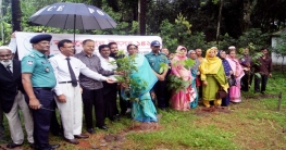 রংপুরে মানবাধিকার ও পরিবেশ আন্দোলন - মাপার’ বৃক্ষরোপন