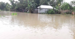 তিস্তার পানি বৃদ্ধিতে ভোগান্তিতে লালমনিরহাটবাসী