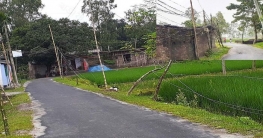 বাঁশের খুঁটিতে বিদ্যুৎ সঞ্চালন লাইন, দুর্ঘটনার আশঙ্কা